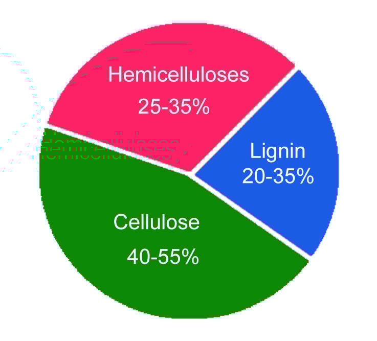 What Happens To Wood When It Burns? » ScienceABC