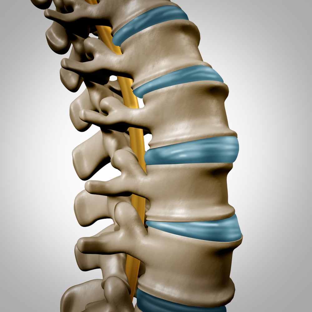 Umano,colonna vertebrale,anatomia,sezione,e,spinale,concetto,come,medico,salute