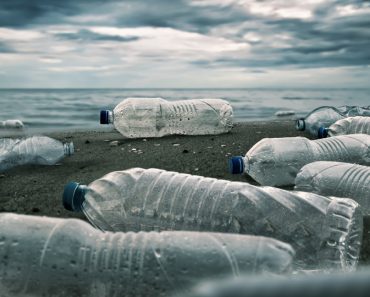 Plastic,Water,Bottles,Pollution,In,Ocean,(environment,Concept)