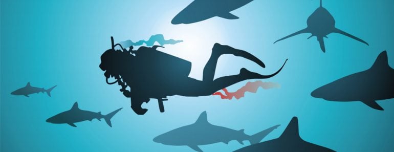 The wounded diver floats among malicious and hungry sharks
