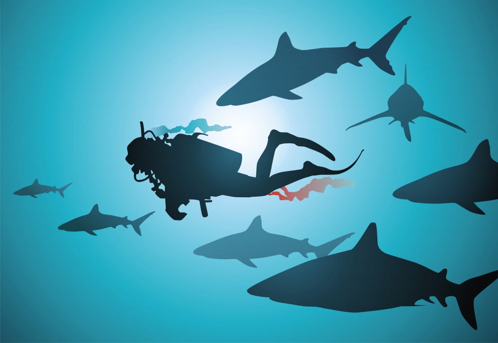 The wounded diver floats among malicious and hungry sharks