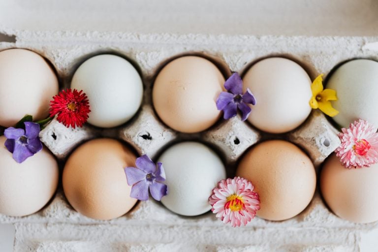 How Should You Store Your Eggs? » ScienceABC