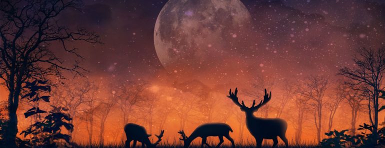 Bright,Fabulous,Landscape,With,Silhouettes,Of,Deer,And,Trees,,Enigmatic