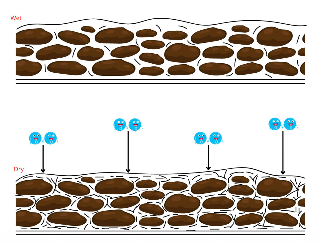 Why Do Oil Paintings Dry So Slowly? » ScienceABC