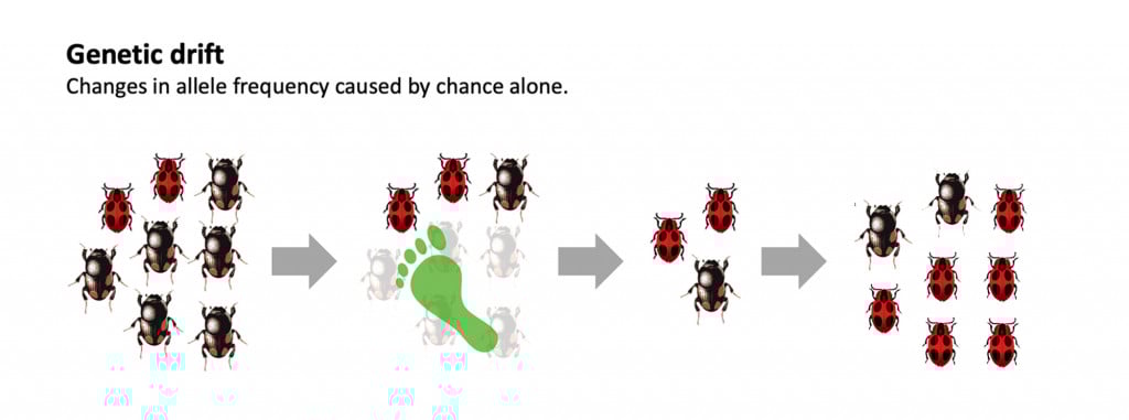 Why Science Cant Always Repeat Itself The Descriptive Trap - s26rcum