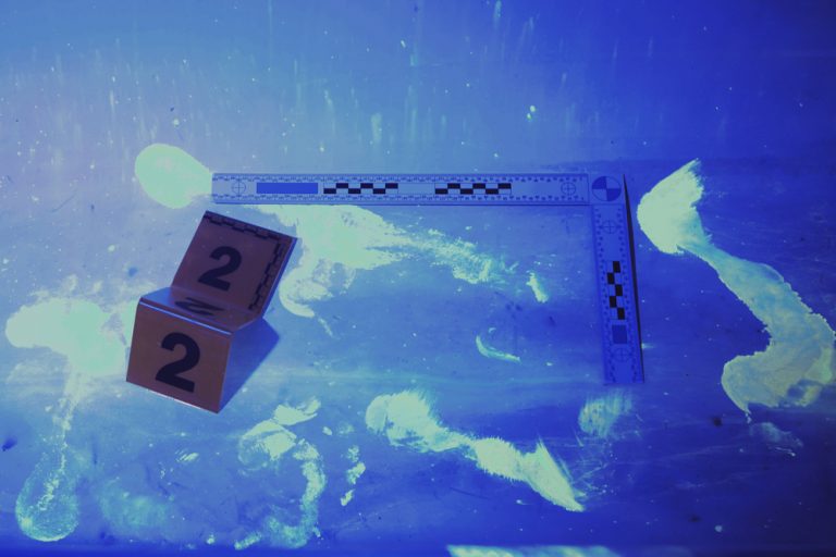 How Does Science Help Solve Crimes? The Real Life Science Of Crime