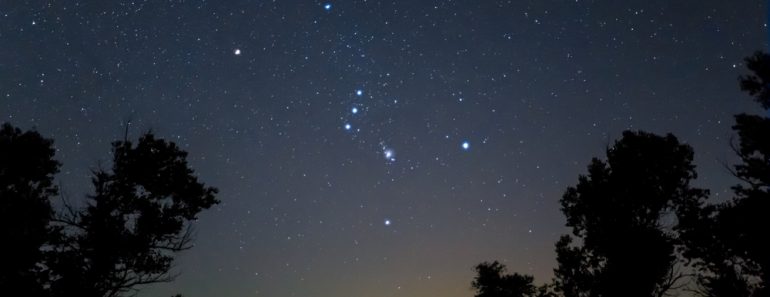 Closeup,Orion,Constellation,On,Night,Starry,Sky,Above,Forest,Silhouette,
