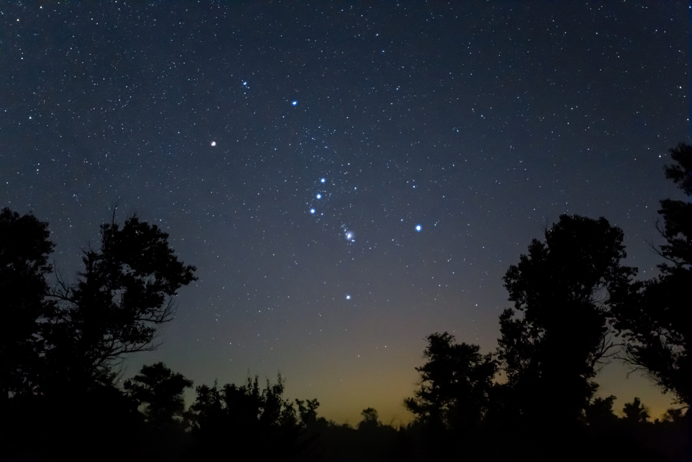 Closeup,Orion,Constellation,On,Night,Starry,Sky,Above,Forest,Silhouette,