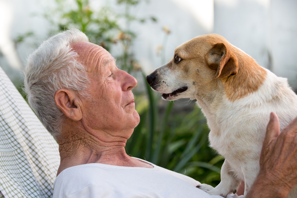 Old,Man,Resting,In,Garden,And,Cute,Dog,Climb,On