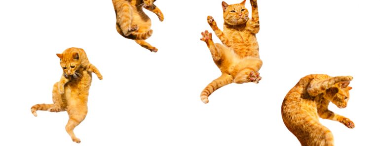 Four,Ginger,Flying,Cats,Isolated,On,A,White,Background.