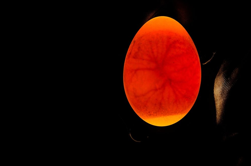 Why Do Old Eggs Float? » ScienceABC