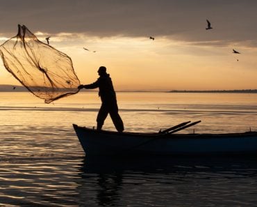Fisherman,Working,In,Famous,Lake,In,Uluabat,At,Golyazi,,Bursa,