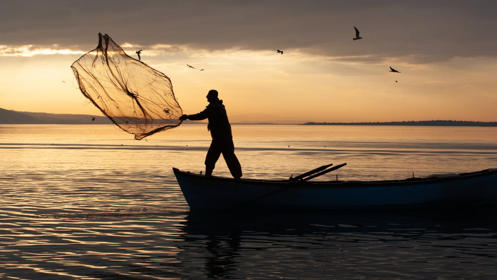 Fisherman,Working,In,Famous,Lake,In,Uluabat,At,Golyazi,,Bursa,