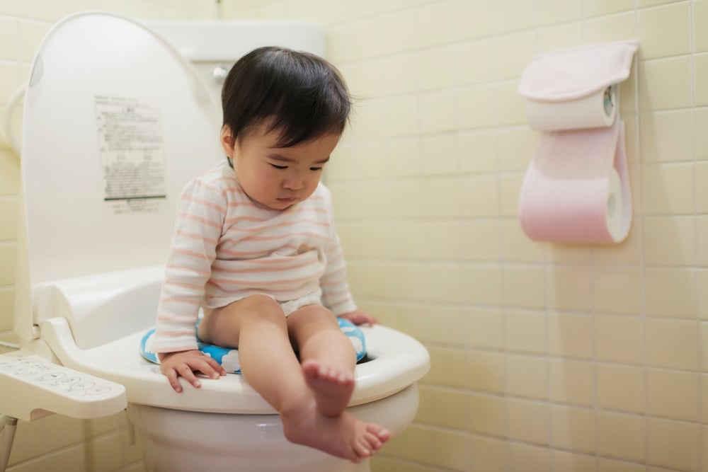 A,Small,Child,Doing,Potty,Training