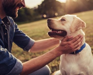 Cropped,Image,Of,Handsome,Young,Man,With,Labrador,Outdoors.,Man