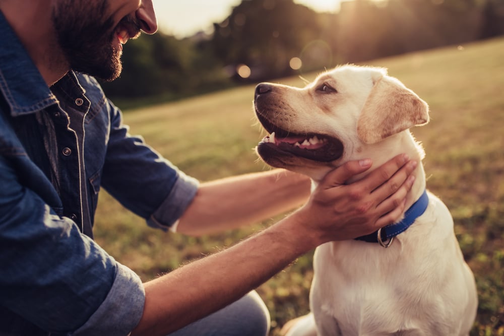 Cropped,Image,Of,Handsome,Young,Man,With,Labrador,Outdoors.,Man