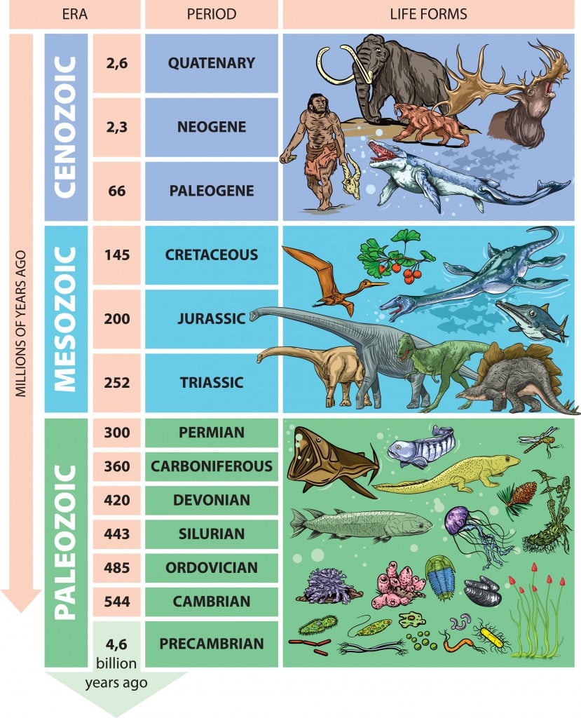 What Is A Geological Timeline at Sheila Monette blog