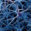 Brain,Cells,,Neurons,In,Human,Brain,,Medically,Accurate,3d,Illustration