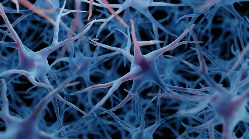 Brain,Cells,,Neurons,In,Human,Brain,,Medically,Accurate,3d,Illustration