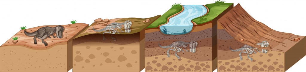 Soil layers with dinosaur fossil illustration