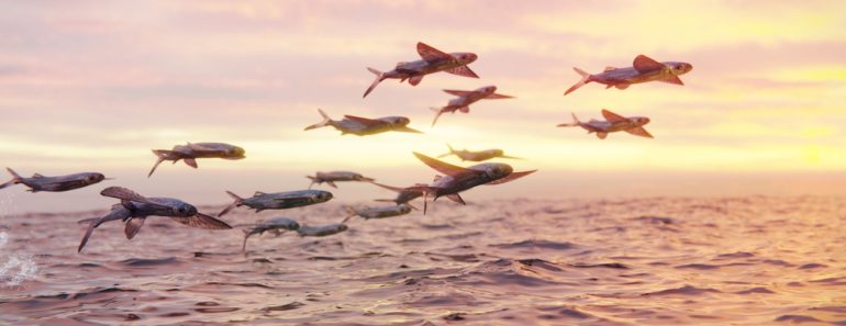 flying fish, school of Exocoetidae (3d rendering)