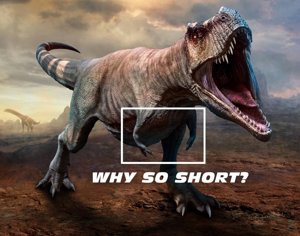 T-rex may have used small arms for mating, discovery of Meraxes