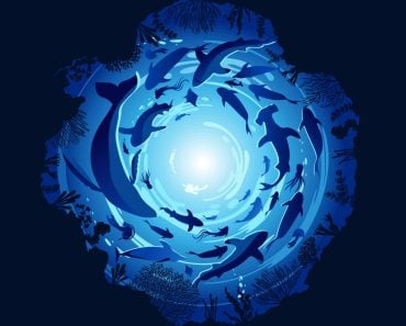 Silhouette of fish and algae in an underwater cave. Sea bottom. Stock vector illustration