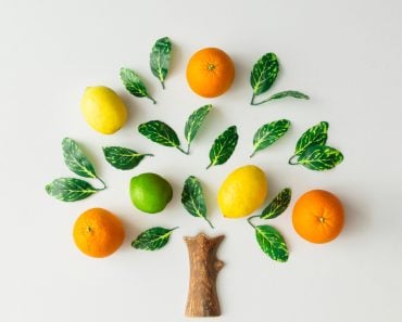 Tree,Made,Of,Citrus,Fruits,,Oranges,,Lemons,,Lime,And,Green