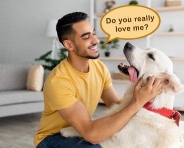 Happy young Arab man stroking his adorable dog in living room. Cheerful millennial Eastern guy playing with his pet at home. Human animal friendship concept