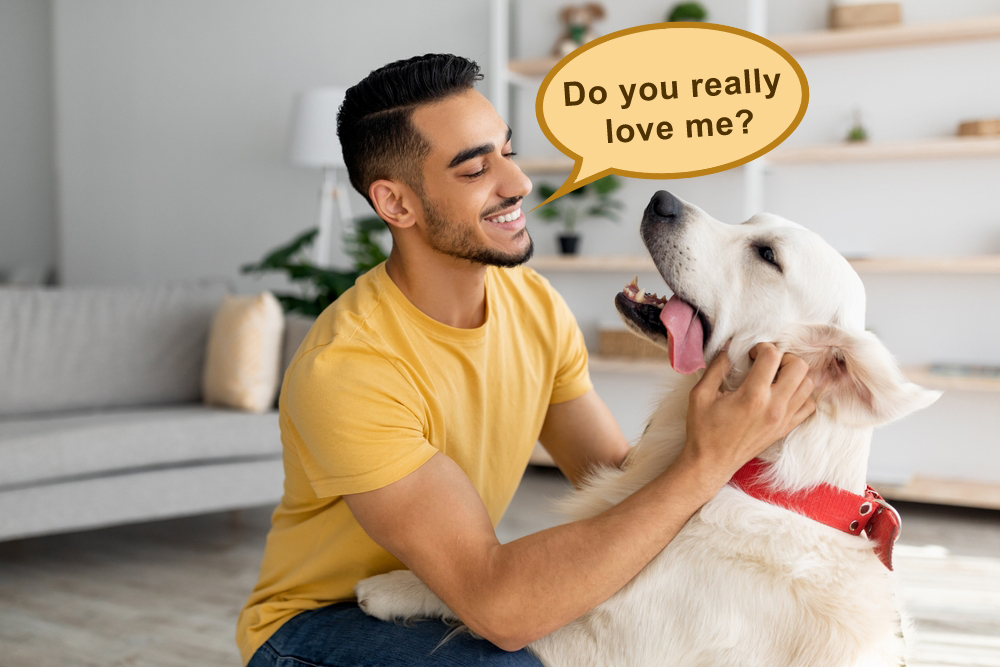 do dogs really love us