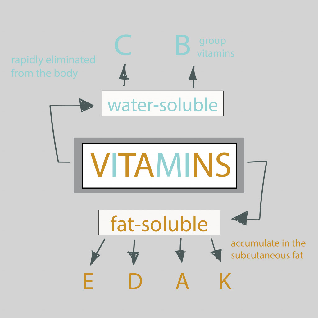 வைட்டமின்கள் Scheme-of-vitamins-necessary-for-the-human