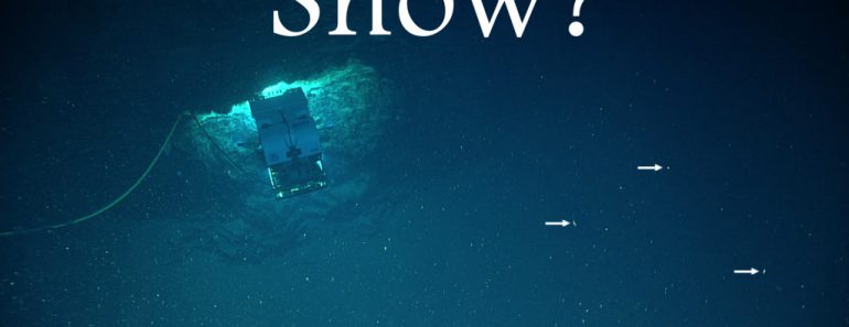 sea snow