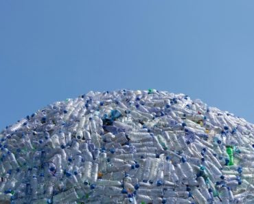 Semicircular,Mountain,Of,Plastic,Waste,,Plastic,Bottles,With,A,Beautiful
