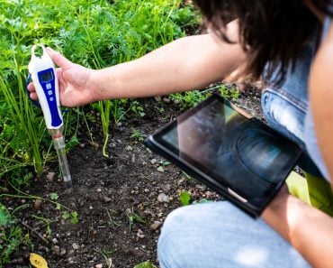 Ph,Meter,Tester,In,Soil.,Measure,Soil,With,Digital,Device
