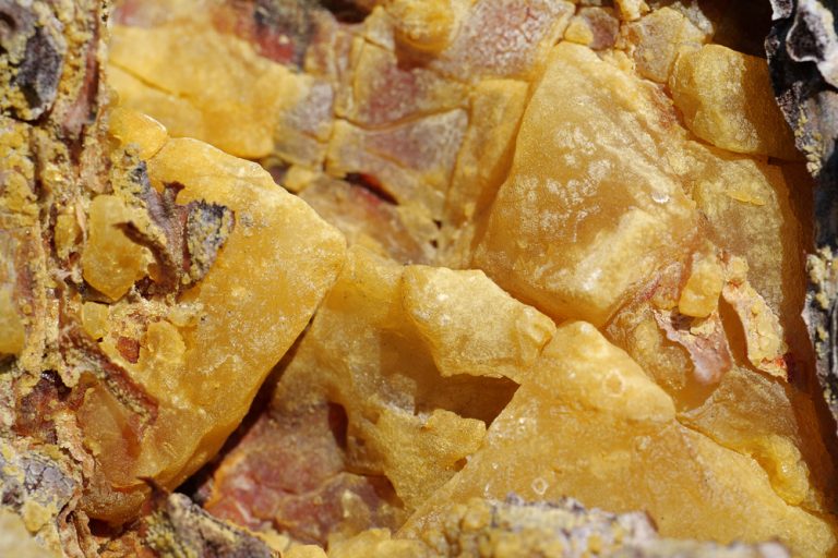 What Happens When You Deep Fry Ice? » ScienceABC