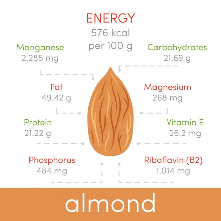 What Are The Indigestible Chemicals In Almonds? » ScienceABC