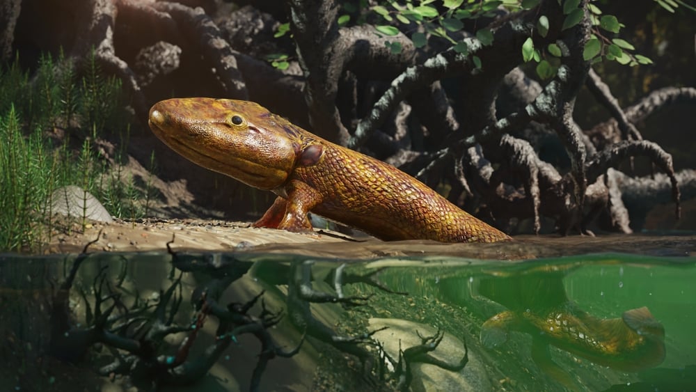 Tiktaalik,,Extinct,Walking,Fish,,The,Evolution,Of,Four-legged,Animals,(3d