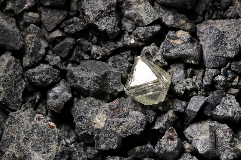 Dcentral wonder real diamond store