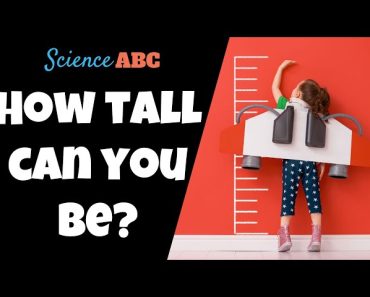 What's the maximum number of times that you can fold a piece of paper? -  BBC Science Focus Magazine