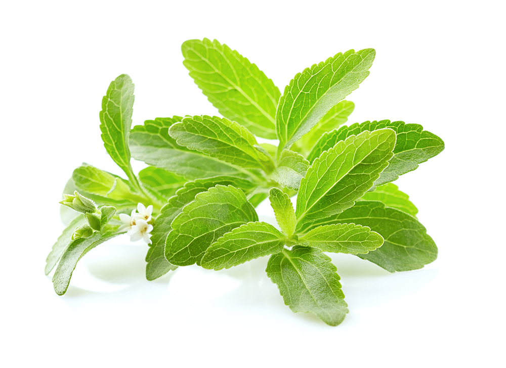 Why Does Stevia Have A Bitter Aftertaste? » ScienceABC