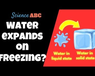 https://www.scienceabc.com/wp-content/uploads/2023/11/5IDLuQE1YE-370x297.jpg