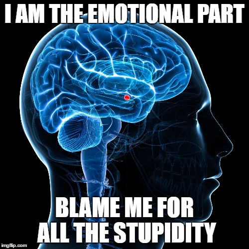 imgflip.com