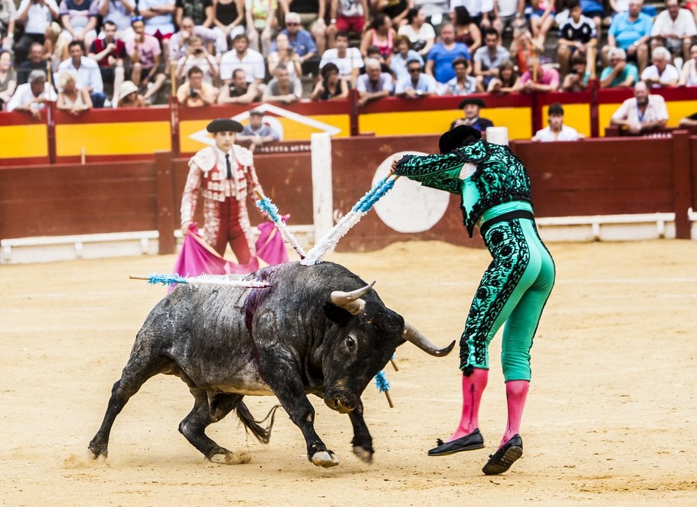 Bullfight