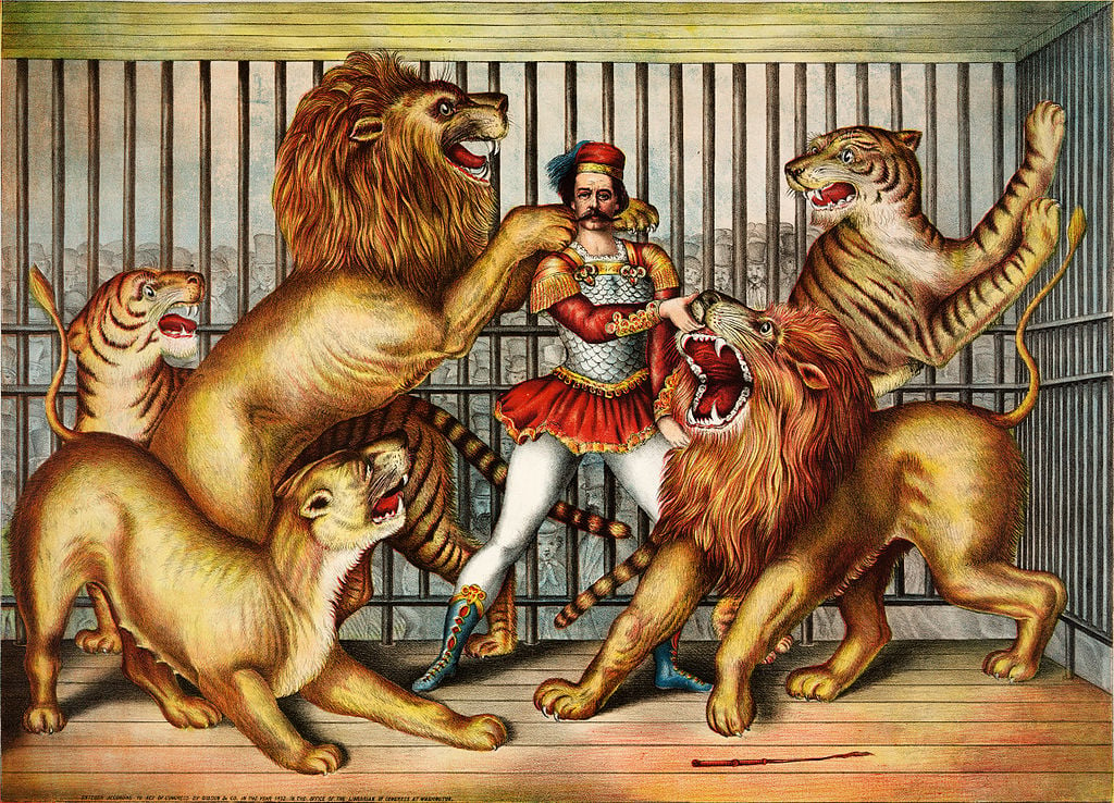 Gravure du XIXe siècle de lions et tigres en captivité avec un gardien