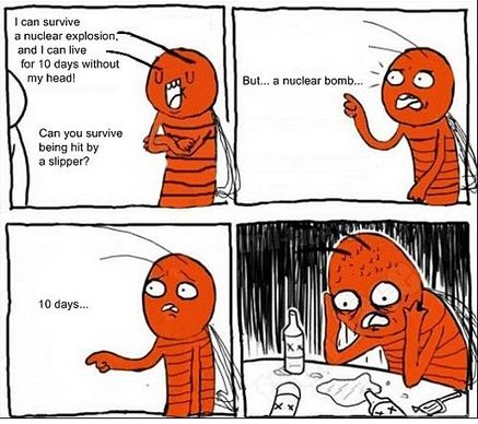 Can Cockroaches Really Survive A Nuclear Explosion