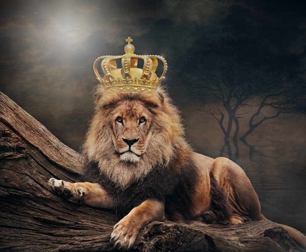 re del leone