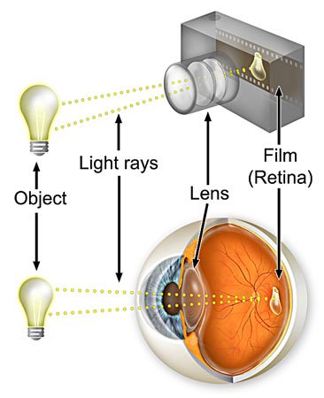 camera and eye