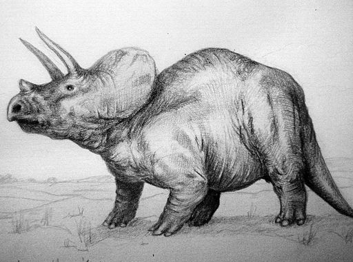 Modern Day Dinosaurs: Modern Day Animals From Dinosaur's Lineage