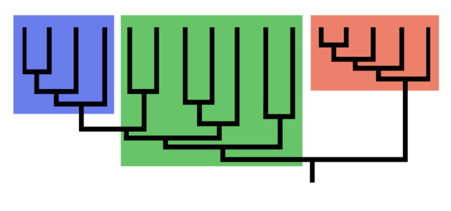 Blue and Orange: Valid groups. Green: Not so much.