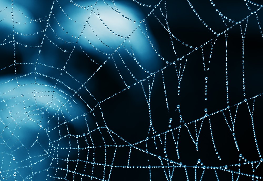 Spider Silk